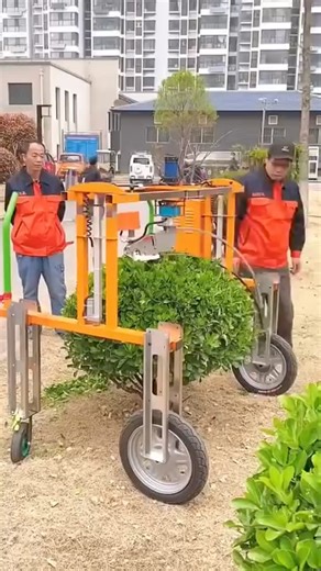 **Kisan Dost Vision :** Empowering farmers with advanced agricultural knowledge and technologies from around the world. because large-scale farmers in Pakistan seeking access to the latest agricultural technologies and practices. at this time Farmers have Limited access to advanced agricultural information and technologies. They facing Difficulty in understanding and implementing new agricultural practices. They have also Lack of awareness about global agricultural trends and innovations. So we 