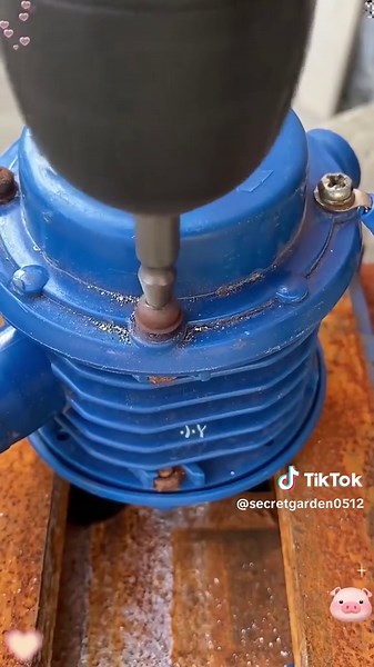 TikTok의 OK-Selection