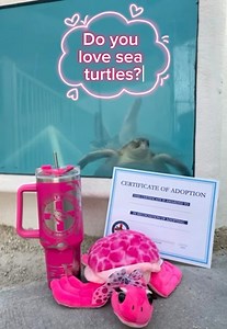 86K views · 304 reactions | Show your love for sea turtles this...