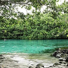 Casa Cenote Diving with Koox Diving | Complete Guide to the Cenote