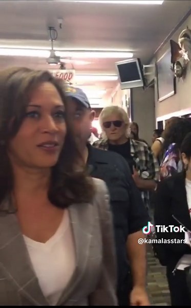 Exploring Coconut Trees and Their Significance