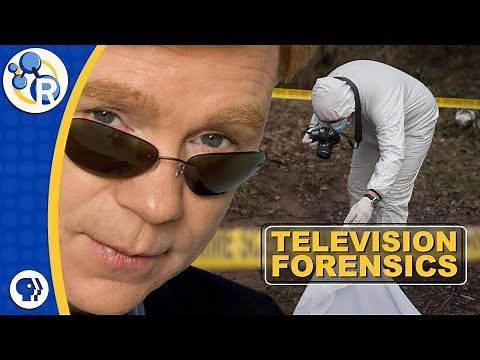 TV Forensics: What Do CSIs Actually Do?