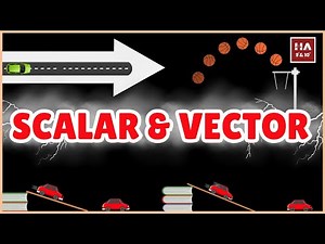 Scalar vs Vector Quantities | Motion | NCERT Chapter 7 | Class 9th | Physics Revision | CBSE