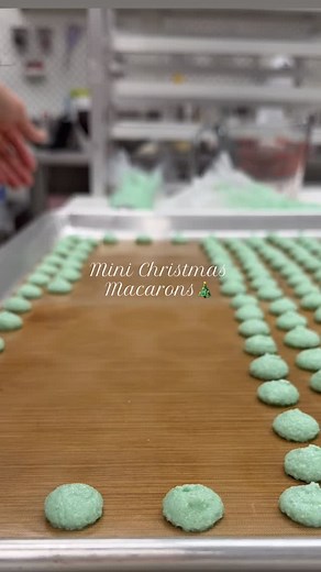 Hand-piping tiny macaron shells in my cozy little bakery 🩷 There’s something so soothing about creating these mini treats one by one — soft colors, delicate swirls, and lots of love in every batch. Enjoy the calm, satisfying macaron-making vibes 💕🍬 #macarons #macaronlover #bakingreels #smallbakery #bakerylife #aestheticbaking #satisfyingvideos #homebaker #minimacarons #bakinglove #reelsvideo #cozyvibes | Macamochi