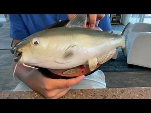 How to replace the head paddle in your singing fish mechanism