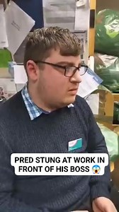 257K views · 1.8K reactions | FOLLOW THE PAGE FOR DAILY STINGS | Helping Every Little Person | Facebook