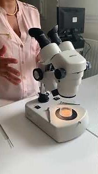 utilisation de la loupe binoculaire