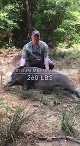 Great... - Great Southern Outdoors Wildlife Plantation