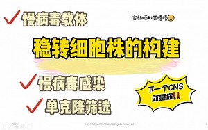 【拓扑优化】88行代码讲解&算例分析-孙宝宝一直都在-默认收藏夹-哔哩哔哩视频