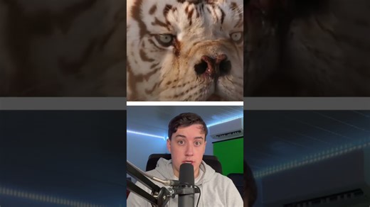 A tiger previously suspected of Down syndrome appears healthy