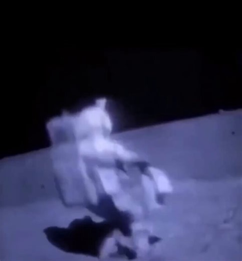 @Mr_Bugman Aquí se ve perfectamente el engaño, caídas con gravedad normal, luego les tiran los cables hacia arriba, saltitos ridículos, incapaces de moverse con normalidad, set cinematográfico con arneses, está completamente aceptado, las misiones Apolo fueron una farsa.