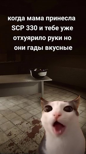 Russian SCP 330 Memes Compilation