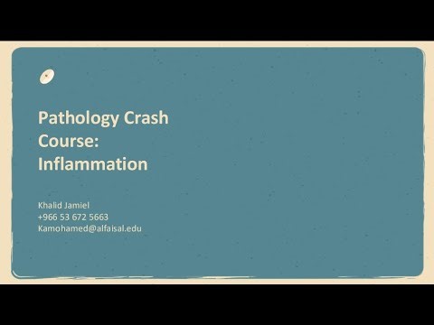 Inflammation Crash Course | Khalid Jamiel | POD 231