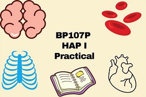 107P Human Anatomy and Physiology Practical Lab Manual, Synopsis