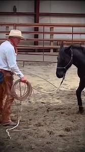 Watch this video series with Billy Bob now at Thebuckchannel.com #buckbrannaman #thebuckchannel #horsemanship #coltstarting | The Buck Channel - Buck Brannaman Horsemanship