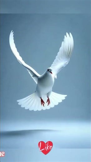 Jesus Worship Short Song: Inviting God's Spirit Inside You!