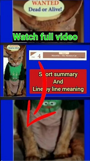 Macavity The Mystery Cat - Summary and meaning - 11th English - Watch full video