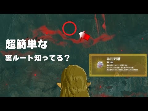 【ティアキン攻略】超簡単に最強の盾 ハイリアの盾を序盤でも入手することができる裏ルートを紹介します【ティアーズオブザキングダム】