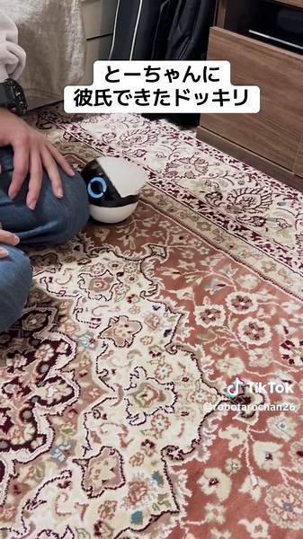 ペットカメラで仕掛けた驚きのドッキリ企画