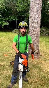80K views · 1.3K reactions | BEST WAY TO FIX YOUR TREE WEDGES_ A...