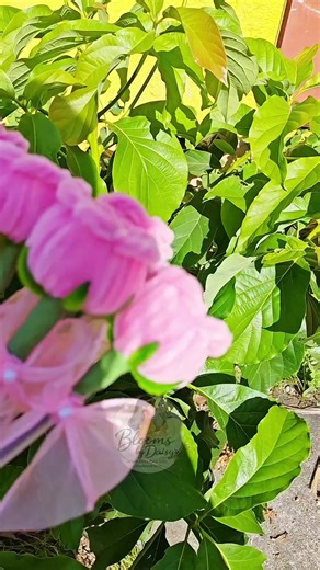 Flower pen #flowerpen #rose #pen #foryou