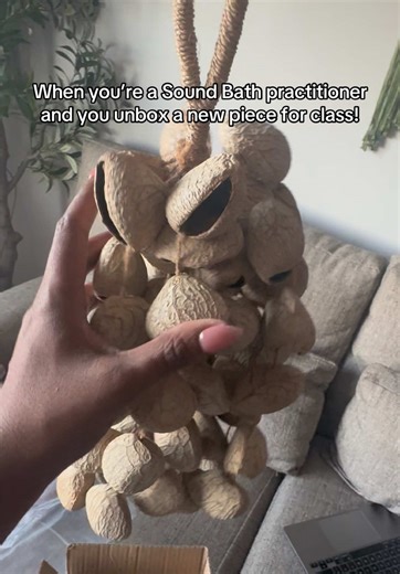 Discover the Healing Sounds of the Seed Shell Shaker