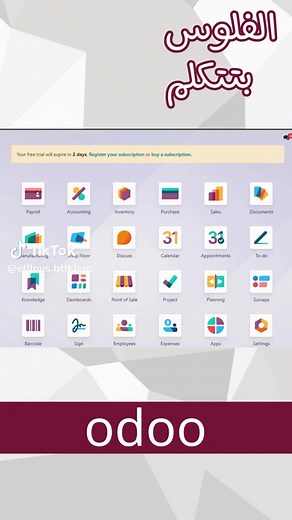 Advanced Odoo Follow-up Levels Explained