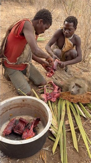Wow😳🌿🫢enjoying forests 🌳 life #africa #villagelife #animals #nature #travel