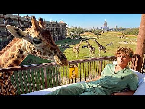 I Stayed in Every Hotel at Disney World