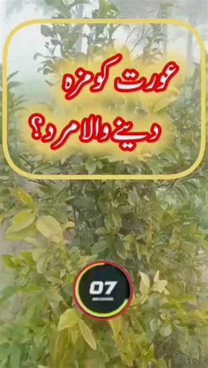 Test Your Knowledge with This Engaging Urdu Quiz