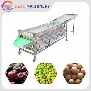 [Hot Item] Automatic Fruit Sorting Equipment Cherry Sorting Grading Machine Cherry Size Sorter
