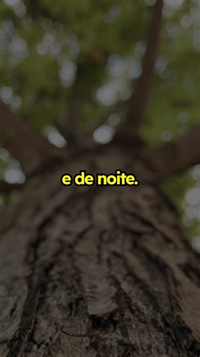 PSALM 1 - LIKE A TREE PLANTED BY STREAMS OF WATER 📖 - JFA Offline Bible