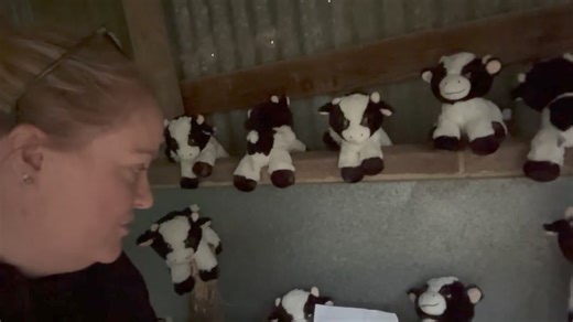 2K views · 68 reactions | Winter Camp 2024 has begun ❄️ We are so thrilled to hear the magical sound of kids running around and having fun - as it brings the campsite to life. Tonight we have a very special walk organised, and it’s actually the first time we have told this story about the cows and farmer Brown!!! Here’s Melanie, our CEO & Founder down at the end of the night walk having a sneak peek of the cows  | Puddle Jumpers Incorporated | Facebook