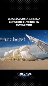 637K views · 16K reactions | El viento cobra vida en las playas de...