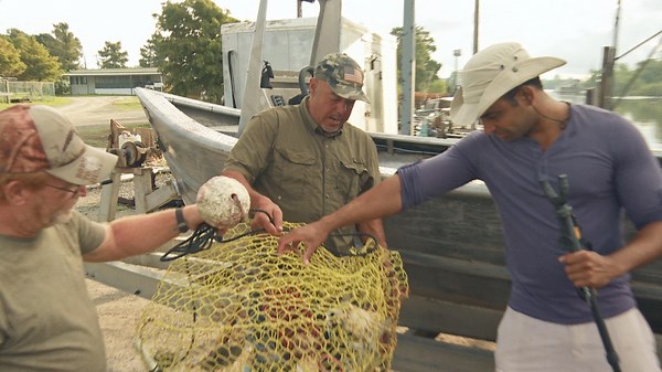 Swamp People Season 13 Episode 8 Sinkhole Giants