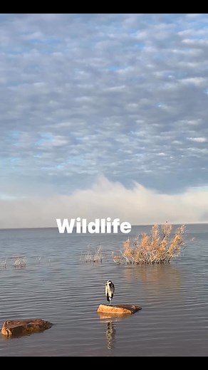 Lake Meredith National Recreation Area on Reels