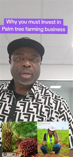 why you must invest in Palm tree farming business #palmtreefarming #palmtree #viral_video #livehighlights #farmer @Mc 2mic🎤🎤 @chukwumerijem