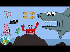 Animated Music Video 🐳 Clawlolo Willard The Whale 🦑 Cartoon For Kids