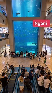 Aquarium pecah guys @sorotan | Reni Reni
