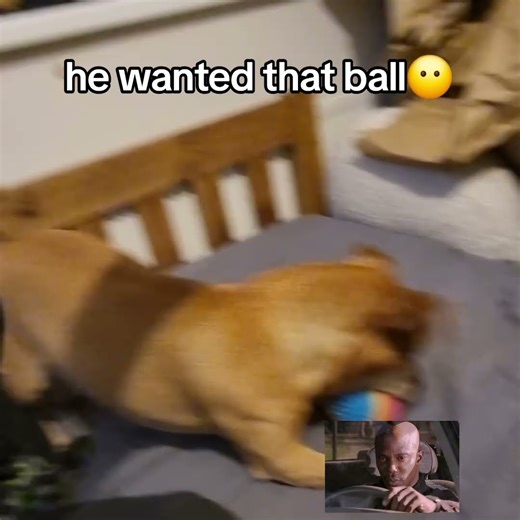 why do I need static sound effect to do on #haveitoldyoulatelythatiloveyou