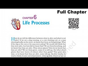 CBSE NCERT Class 10 Science Chapter 6- Life Processes [Full Chapter]