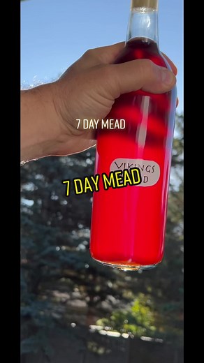 Quick Mead Making Using Kveik Yeast for Homebrewers