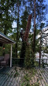 102K views · 1.2K reactions | #Tree #work #OWNER #job #outdoors #business #handmade #businessgrowth | C&B Tree Service | Facebook