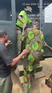 2.4M views · 15K reactions | 퐌퐚퐧 퐚퐫퐫퐞퐬퐭퐞퐝 퐟퐨퐫 퐜퐨퐧퐯퐞퐫퐭퐢퐧퐠 퐡퐨퐦퐞 퐭퐨...