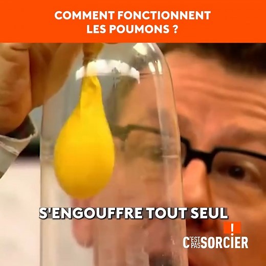 Comment fonctionnent les poumons ? et qu'y a-t-il dedans ? Inspirez profondément et suivez Jamy pour tout savoir ! | C'est pas sorcier