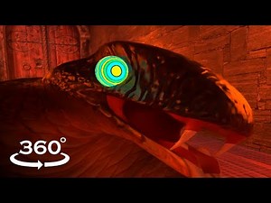 360 Hypnosis | Snake Hypnosis Dungeon