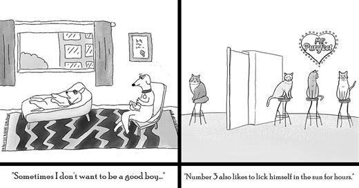 This Artist Proves Comedy Can Come From Anywhere, And Here Are His 50 New Comics