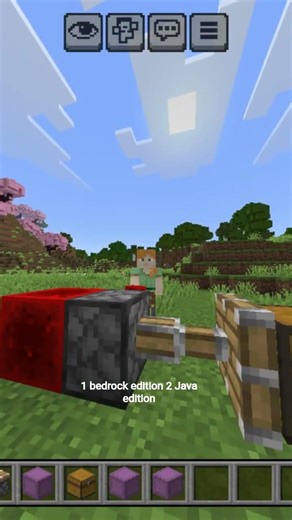 bedrock edition vs Java edition #minecraft #viral #shorts