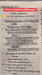 99K views · 3K reactions | This is What the LORD says; #jesus #bibleverse #WordOfGod #wisdom #Bible #fbreelsvideo | The Bible Verses | Facebook