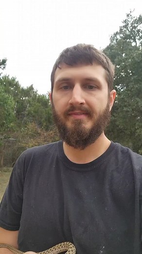 45 reactions | Found a rat snake by the house and relocated it by the garden shed. #texas #snake | Timothy Mabry | Facebook